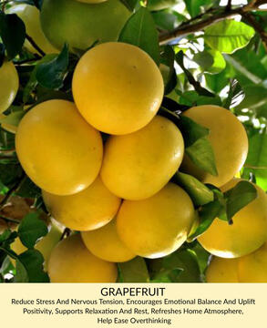 Grapefruit