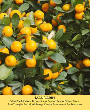 Mandarin