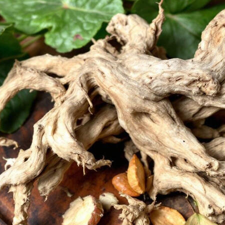 Kudzu Root - Liver Health