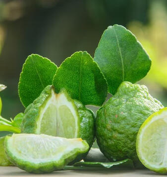 Bergamot