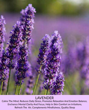 Lavender