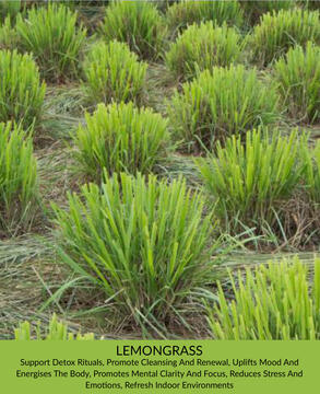 Lemongrass