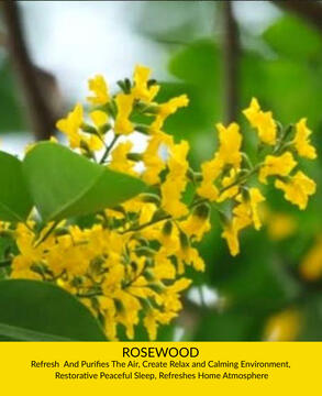 Rosewood
