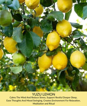 Yuzu Lemon