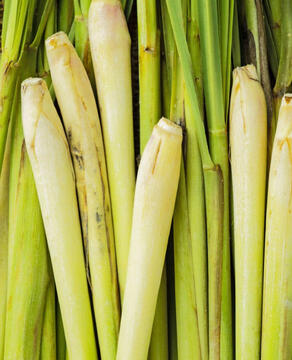 Lemongrass