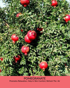 Pomegranate